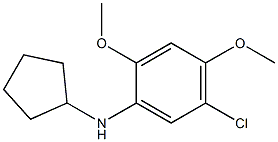 5-chloro-N-cyclopentyl-2,4-dimethoxyaniline Struktur