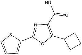 5-cyclobutyl-2-(thiophen-2-yl)-1,3-oxazole-4-carboxylic acid Struktur