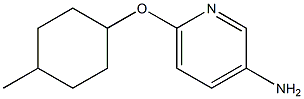 6-[(4-methylcyclohexyl)oxy]pyridin-3-amine Struktur