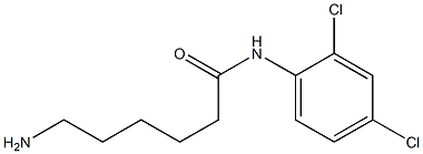 6-amino-N-(2,4-dichlorophenyl)hexanamide Struktur