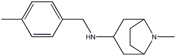 8-methyl-N-[(4-methylphenyl)methyl]-8-azabicyclo[3.2.1]octan-3-amine Struktur