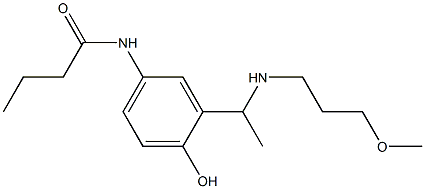 N-(4-hydroxy-3-{1-[(3-methoxypropyl)amino]ethyl}phenyl)butanamide Struktur