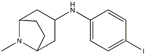 N-(4-iodophenyl)-8-methyl-8-azabicyclo[3.2.1]octan-3-amine Struktur