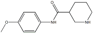 N-(4-methoxyphenyl)piperidine-3-carboxamide Struktur