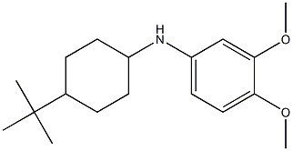 N-(4-tert-butylcyclohexyl)-3,4-dimethoxyaniline Struktur