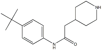 N-(4-tert-butylphenyl)-2-piperidin-4-ylacetamide Struktur