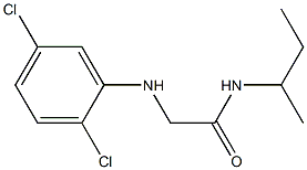 N-(butan-2-yl)-2-[(2,5-dichlorophenyl)amino]acetamide Struktur