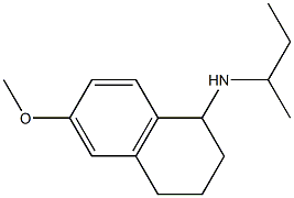 N-(butan-2-yl)-6-methoxy-1,2,3,4-tetrahydronaphthalen-1-amine Struktur