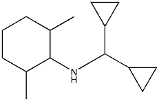 N-(dicyclopropylmethyl)-2,6-dimethylcyclohexan-1-amine Struktur