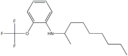 N-(nonan-2-yl)-2-(trifluoromethoxy)aniline Struktur