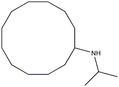 N-(propan-2-yl)cyclododecanamine Struktur