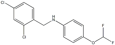 N-[(2,4-dichlorophenyl)methyl]-4-(difluoromethoxy)aniline Struktur