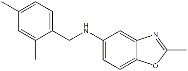 N-[(2,4-dimethylphenyl)methyl]-2-methyl-1,3-benzoxazol-5-amine Struktur