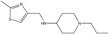 N-[(2-methyl-1,3-thiazol-4-yl)methyl]-1-propylpiperidin-4-amine Struktur