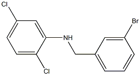 N-[(3-bromophenyl)methyl]-2,5-dichloroaniline Struktur