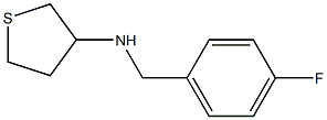 N-[(4-fluorophenyl)methyl]thiolan-3-amine Struktur