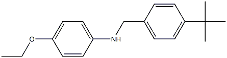 N-[(4-tert-butylphenyl)methyl]-4-ethoxyaniline Struktur