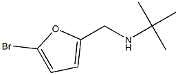 N-[(5-bromo-2-furyl)methyl]-N-(tert-butyl)amine Struktur