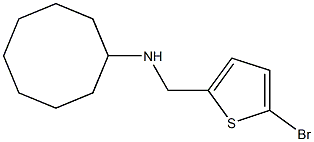 N-[(5-bromothiophen-2-yl)methyl]cyclooctanamine Struktur