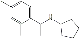 N-[1-(2,4-dimethylphenyl)ethyl]cyclopentanamine Struktur