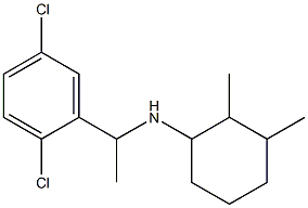 N-[1-(2,5-dichlorophenyl)ethyl]-2,3-dimethylcyclohexan-1-amine Struktur