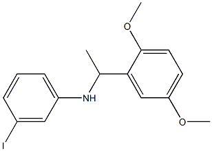 N-[1-(2,5-dimethoxyphenyl)ethyl]-3-iodoaniline Struktur