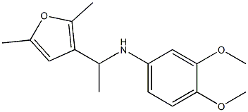 N-[1-(2,5-dimethylfuran-3-yl)ethyl]-3,4-dimethoxyaniline Struktur