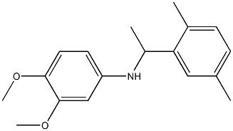 N-[1-(2,5-dimethylphenyl)ethyl]-3,4-dimethoxyaniline Struktur