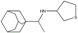 N-[1-(adamantan-1-yl)ethyl]thiolan-3-amine Struktur