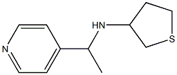 N-[1-(pyridin-4-yl)ethyl]thiolan-3-amine Struktur