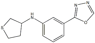 N-[3-(1,3,4-oxadiazol-2-yl)phenyl]thiolan-3-amine Struktur