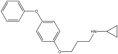 N-[3-(4-phenoxyphenoxy)propyl]cyclopropanamine Struktur