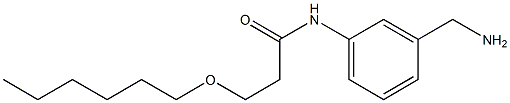 N-[3-(aminomethyl)phenyl]-3-(hexyloxy)propanamide Struktur