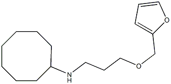 N-[3-(furan-2-ylmethoxy)propyl]cyclooctanamine Struktur