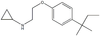 N-{2-[4-(2-methylbutan-2-yl)phenoxy]ethyl}cyclopropanamine Struktur