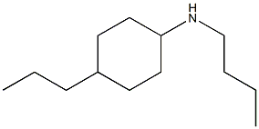 N-butyl-4-propylcyclohexan-1-amine Struktur