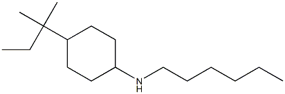 N-hexyl-4-(2-methylbutan-2-yl)cyclohexan-1-amine Struktur