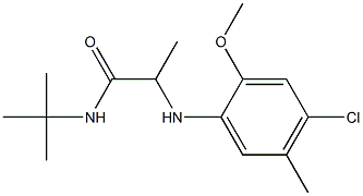 N-tert-butyl-2-[(4-chloro-2-methoxy-5-methylphenyl)amino]propanamide Struktur