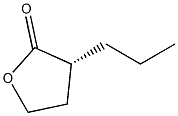 (R)-3-Propyldihydrofuran-2(3H)-one Struktur