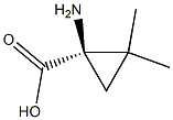 [R,(+)]-2,2-Dimethyl-1-aminocyclopropanecarboxylic acid Struktur