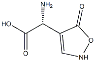 (R)-2-[(2,5-Dihydro-5-oxoisoxazol)-4-yl]-2-aminoacetic acid Struktur