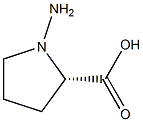 1-Amino-L-proline Struktur