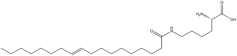 N6-(10-Octadecenoyl)lysine Struktur