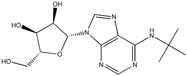 N-tert-Butyladenosine Struktur