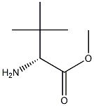 [R,(-)]-2-Amino-3,3-dimethylbutyric acid methyl ester Struktur