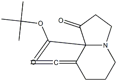 8-Ethenylidene-1-oxo-1,2,3,5,6,7,8,8a-octahydroindolizine-8a-carboxylic acid tert-butyl ester Struktur