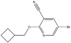 5-bromo-2-(cyclobutylmethoxy)pyridine-3-carbonitrile Struktur