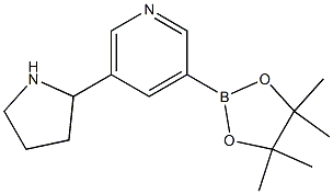 3-(4,4,5,5-tetraMethyl-1,3,2-dioxaborolan-2-yl)-5-(pyrrolidin-2-yl)pyridine Struktur