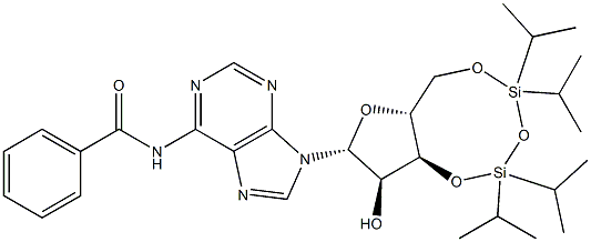 N6-Benzoyl-3',5'-O-(1,1,3,3-tetraisopropyl-1,3-disiloxanediyl)adenosine Struktur