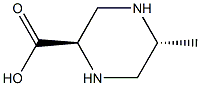 (2R,5R)-5-methylpiperazine-2-carboxylic acid Struktur